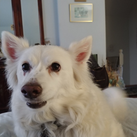 Meet Riley and Angie - Picture 4 of 5